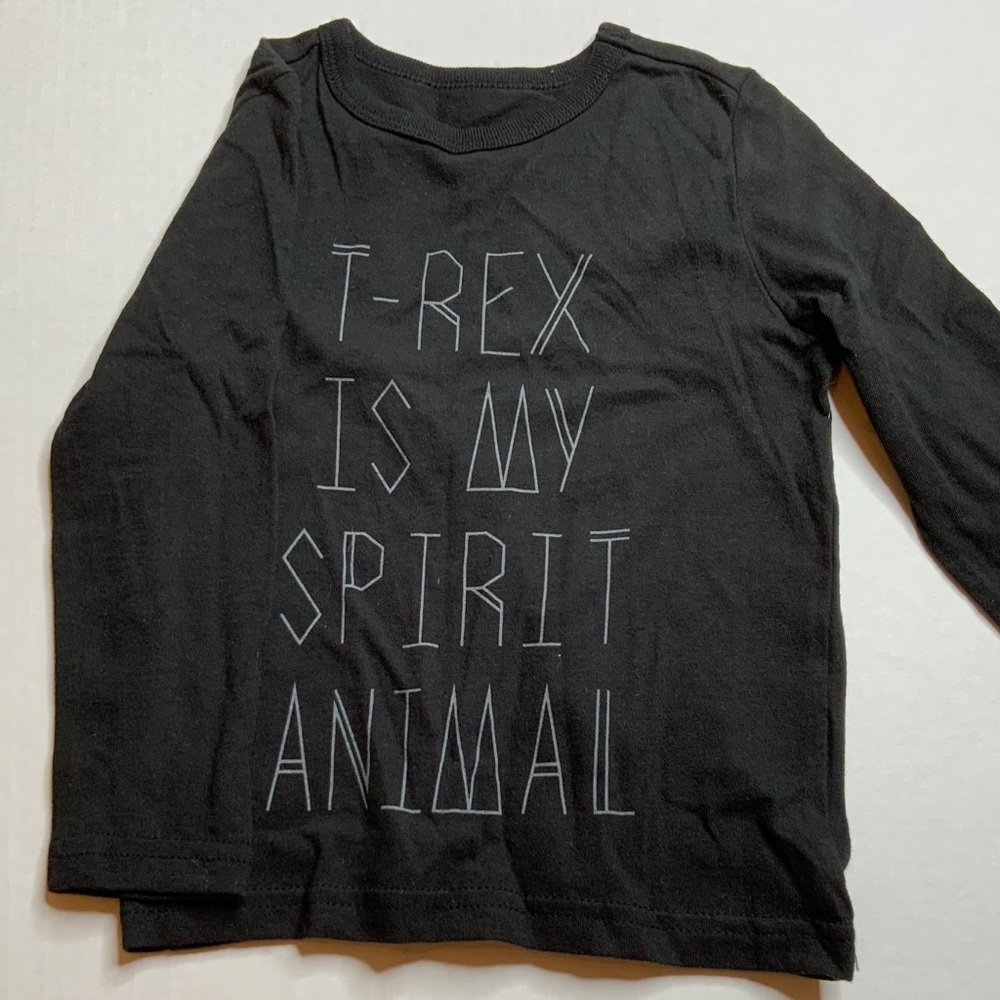 (3/$15) 3T sweatshirt